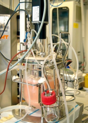 Labfors PEEK bioreaktor pro halofilní kmeny